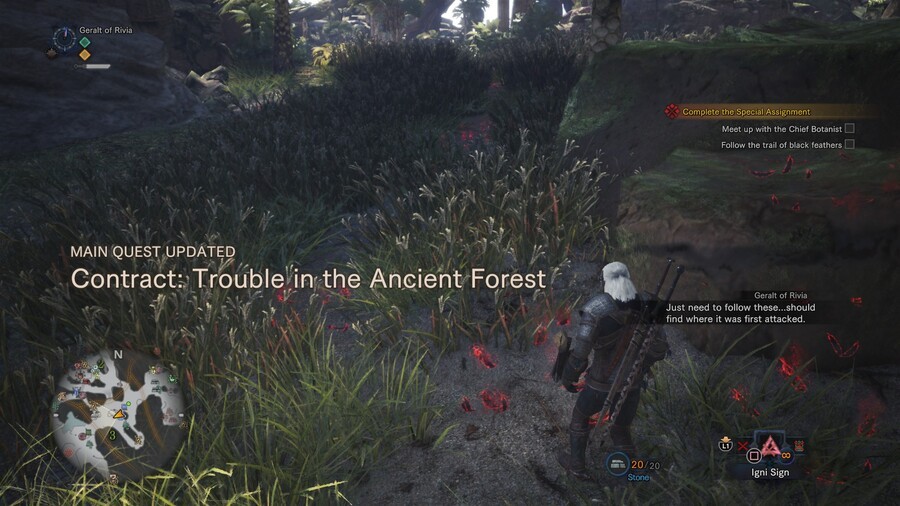 Monster Hunter World Witcher Quest