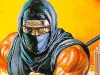 Ninja Gaiden Ninja Gaiden