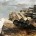 Armored Core V