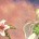 Atelier Ayesha: The Alchemist of Dusk