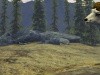 Cabela's Big Game Hunter 2012