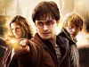 Harry Potter and the Deathly Hallows: Part II Harry Potter and the Deathly Hallows: Part II