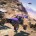MotorStorm