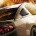 Need For Speed: The Run
