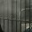 Silent Hill HD Collection