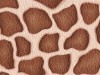 Hungry Giraffe