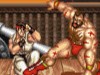 Street Fighter II: The World Warrior Street Fighter II: The World Warrior