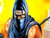 Ninja Gaiden Ninja Gaiden