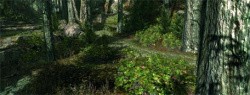 Crytek's CryEngine Produces Notoriously Good Graphics.