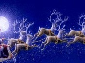 Merry Christmas from Movemodo!