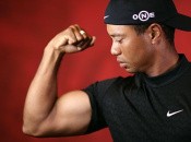 Tiger Woods 12 Sells 225,000 Copies Faster Than a Cheetah Tiger Woods 12 Sells 225,000 Copies Faster Than a Cheetah
