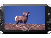 PS Vita Dev Corroborates System's RAM Reduction