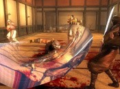 Ninja Gaiden Sigma Slices to Vita