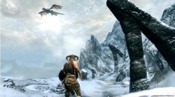 This still screenshot accurately resembles the frame-rate in Skyrim on PS3.