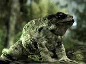 Beautiful Crysis 3 CryEngine 3 Tech Demo Unveiled