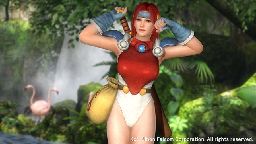 doa falcom.jpg