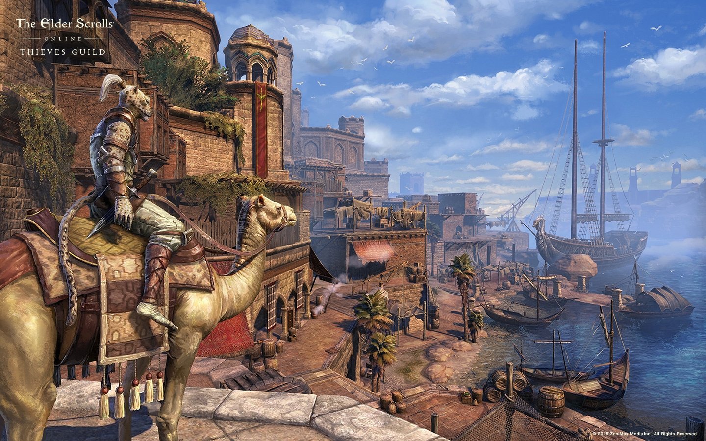 Tes online release date