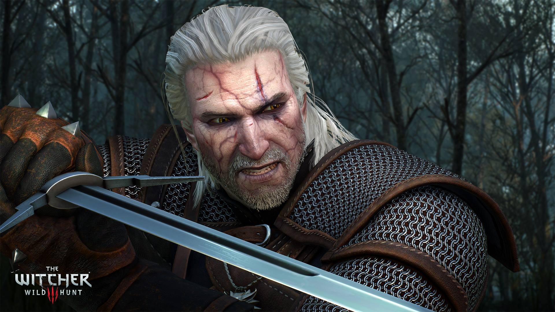 The Witcher 3: Blood and Wine Mutation Character Builds ...