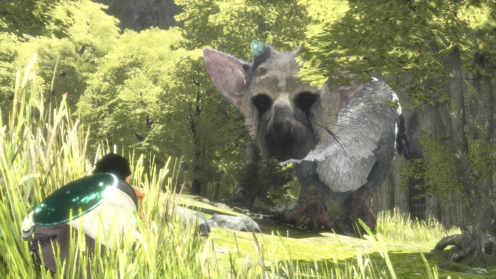 The Last Guardian Still Looks Lovely in New PS4 Screenshots Push Square