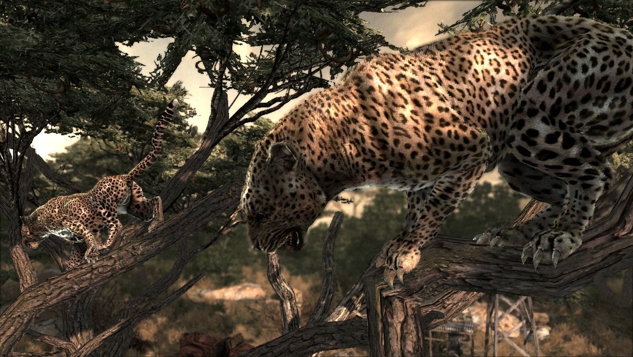 Cabela�s Dangerous Hunts 2011 Review (PS3) Push Square