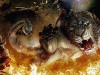 Dragon's Dogma (PlayStation 3) Dragon's Dogma (PlayStation 3)