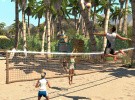Sports Champions Screenshot