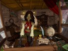Captain Morgane and the Golden Turtle Screenshot