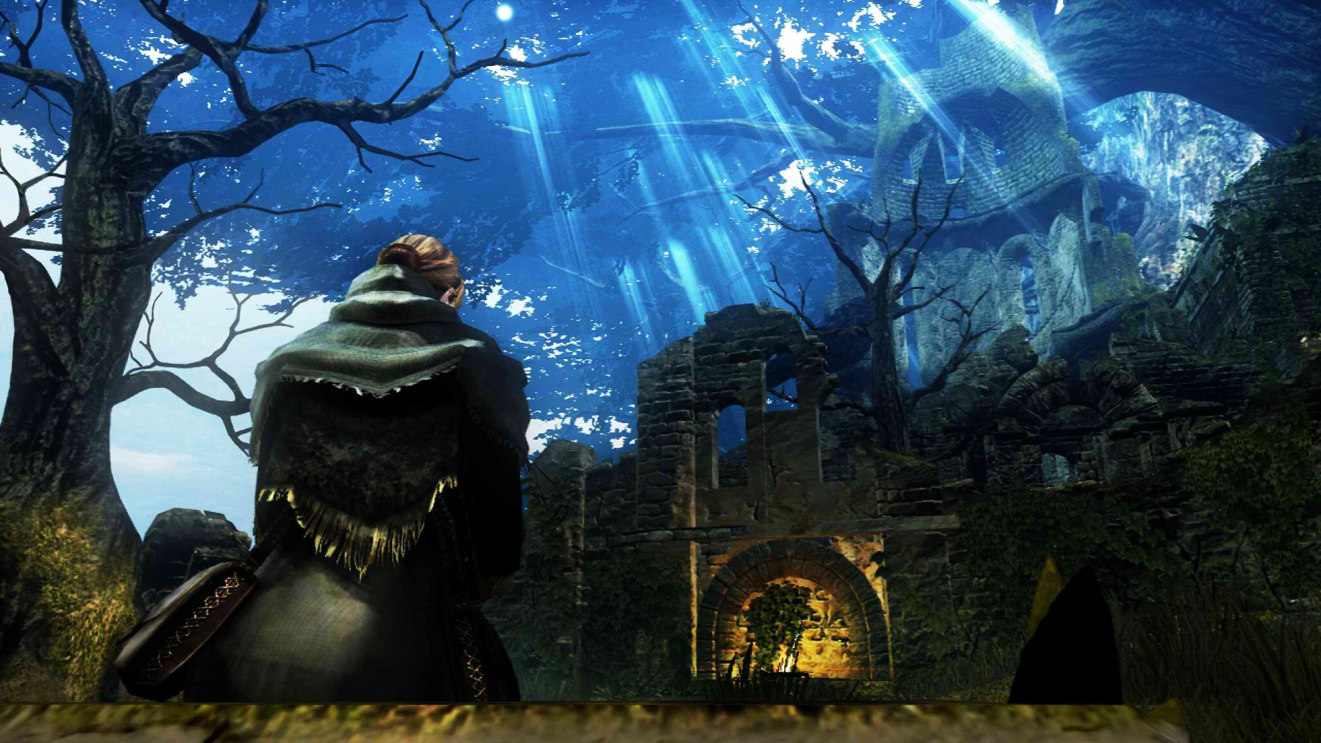 Dark Souls (PS3 / PlayStation 3) Game Profile | News ...