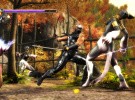 Ninja Gaiden Sigma Screenshot