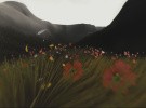 flower Screenshot
