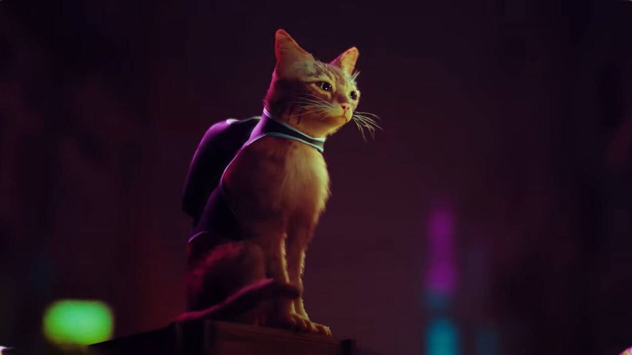 Stray PlayStation 5 game stars detective cat in lead role