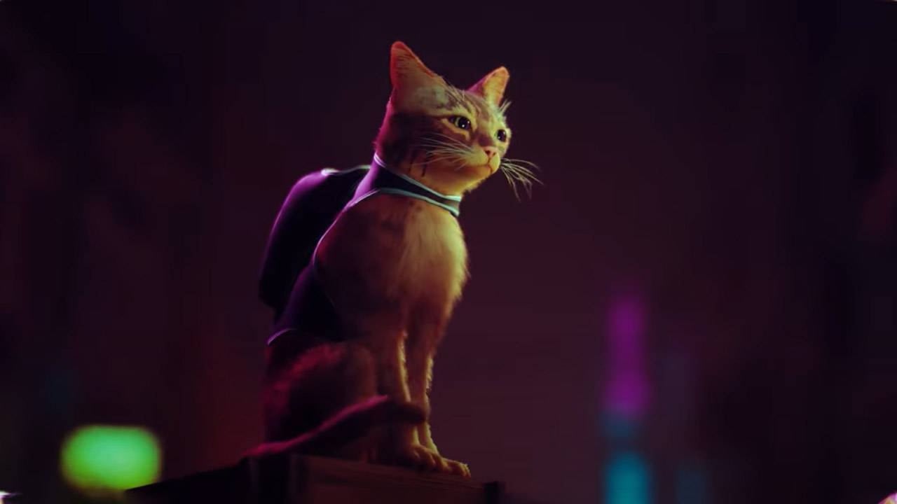 The New PlayStation 5 Game 'Stray' Lets You Be A Mystery Solving Cat In A  Neon-Lit Cyberpunk City