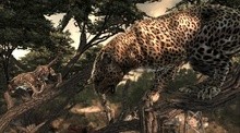 Cabela's Dangerous Hunts 2011