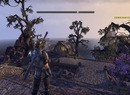 How Does The Elder Scrolls Online Beta Look and Run on PS4?