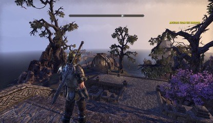 How Does The Elder Scrolls Online Beta Look and Run on PS4?