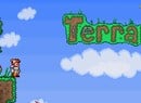 Could Terraria Be Tunnelling onto PlayStation Vita?