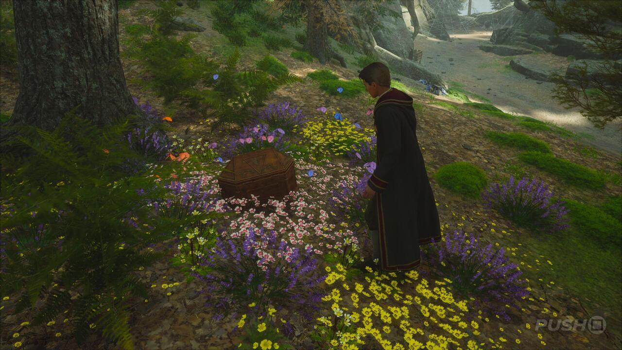 Hogwarts Legacy: Follow the Butterflies Walkthrough | Push