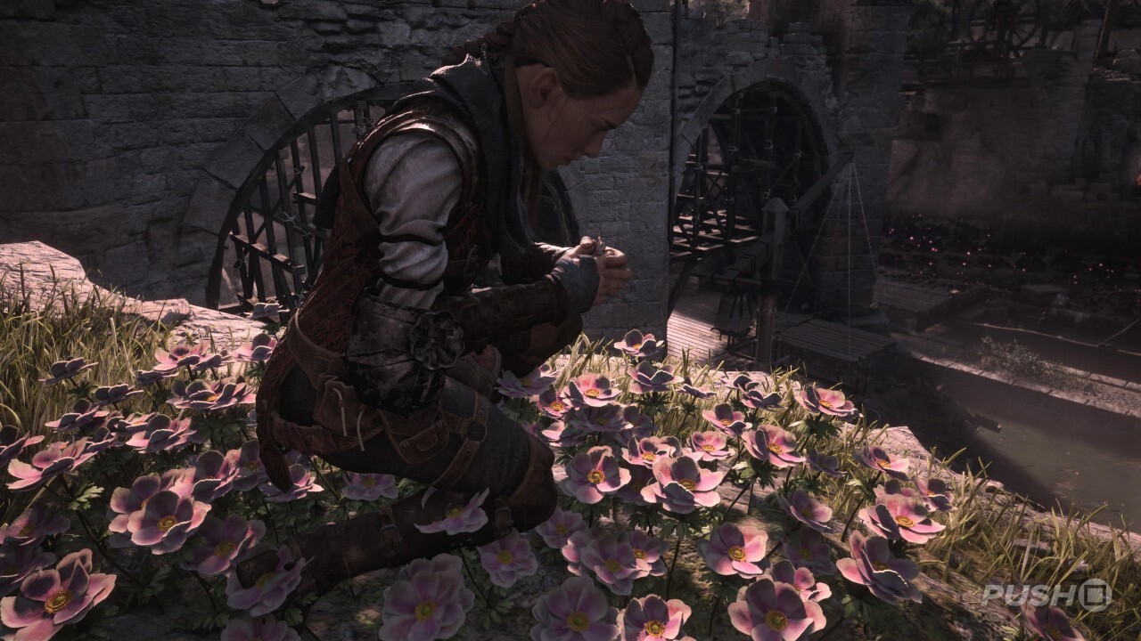 Where to find the florist's husband in A Plague Tale Requiem