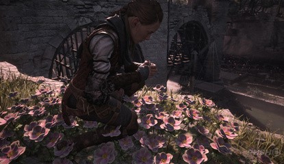 A Plague Tale: Requiem: All Flowers Locations