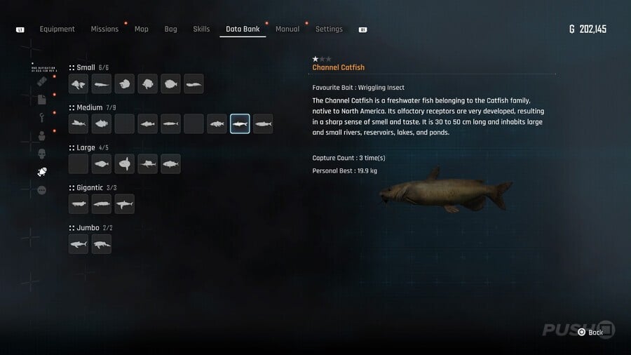 Stellar Blade: All Fish Locations and How to Catch Them 13