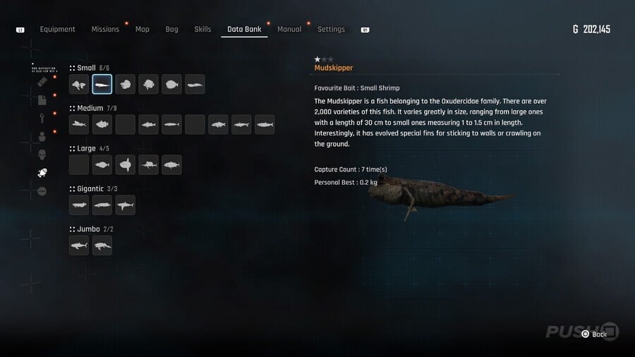 Stellar Blade: All Fish Locations and How to Catch Them 3