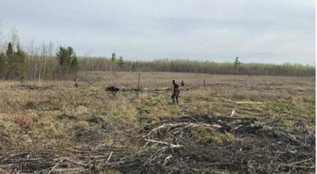 Horizon Forbiddent West Play And Plant Column Wisc En 11feb22