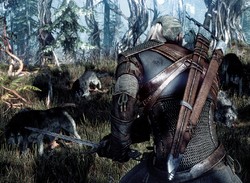 CD Projekt Red Hoping to Find The Witcher 3 PS4 Framerate and Font Size Fix