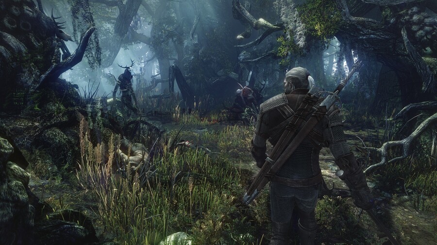 Witcher Swamp