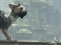 The Last Guardian Explores the Relationship Between People and Animals