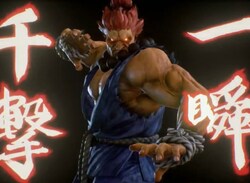 Hey Akuma You're in the Wrong Game, Mate
