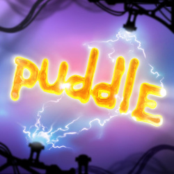 Puddle Cover