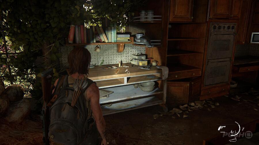 The Last of Us 2: Pushing Inland Collectibles Guide 12