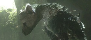 The Last Guardian Is Very Likely Going To Be Sony's "Killer-App" This Fall.