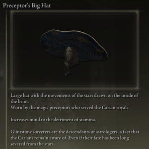 Elden Ring: 모든 풀 아머 세트 - Preceptor's Set - Preceptor's Big Hat